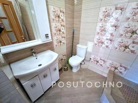 Apartment in the center of Truskavets, Truskavets - apartment by the day