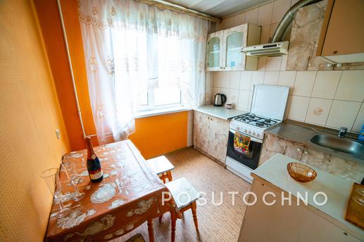 Renovated, 4 sp.m, wi-fi, air conditioni, Dnipro (Dnipropetrovsk) - apartment by the day