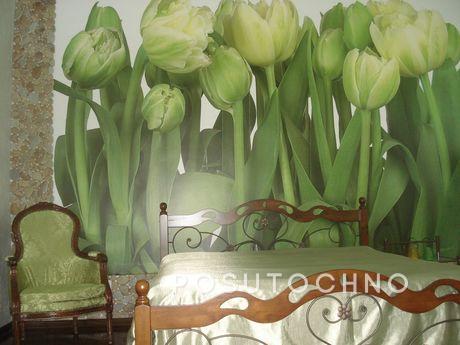 Invited to relax in the most beautiful city of Yalta! Rent o