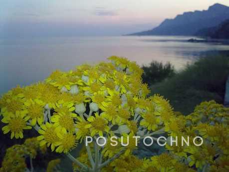 Detached house in Kastropol!, Yalta - apartment by the day