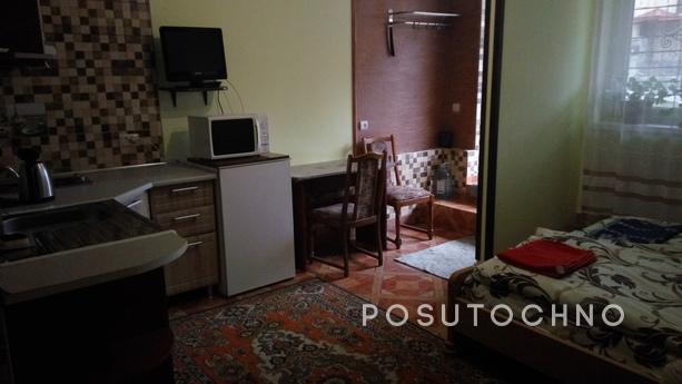 Apartment with separate entrance, Truskavets - apartment by the day