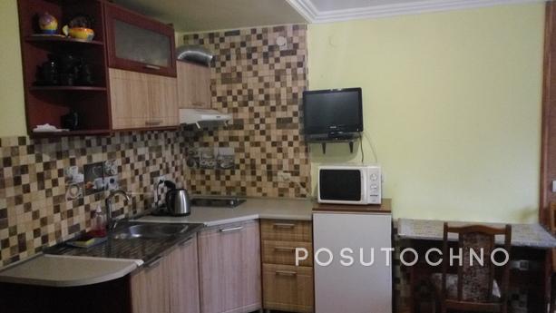 Apartment with separate entrance, Truskavets - apartment by the day