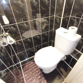 1 sq.m. Shalimova, NAU, Kyiv - apartment by the day