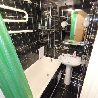 1 sq.m. Shalimova, NAU, Kyiv - apartment by the day
