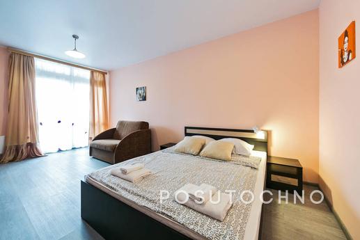 Bright and spacious apartment with a large bed, a sofa bed a