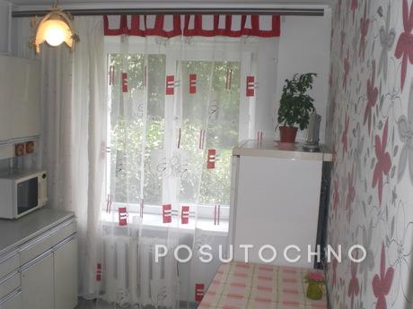 Cozy apartment (hourly, daily), Lviv - apartment by the day