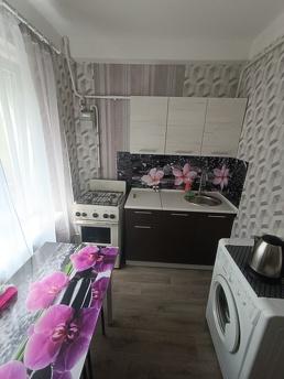 Cozy 1k apartment, Kamenskoe (Dniprodzerzhynsk) - apartment by the day