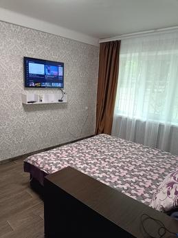 Cozy 1k apartment, Kamenskoe (Dniprodzerzhynsk) - apartment by the day