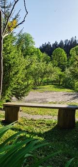 Private garden 'At Ivan's under the linden trees', Skhidnytsia - apartment by the day