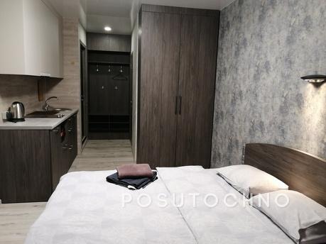 The apartment is dark, where the day is forgotten, Dnipro (Dnipropetrovsk) - apartment by the day