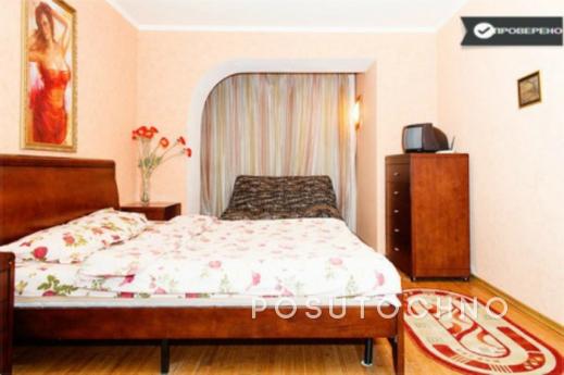 Studio in the center, Dnipro (Dnipropetrovsk) - apartment by the day