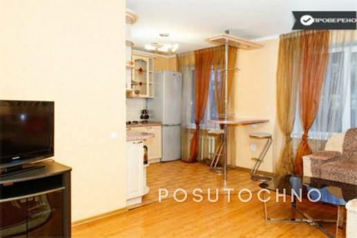 Studio in the center, Dnipro (Dnipropetrovsk) - apartment by the day