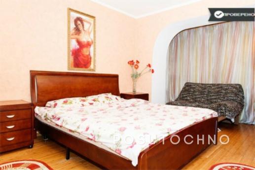 Studio in the center, Dnipro (Dnipropetrovsk) - apartment by the day