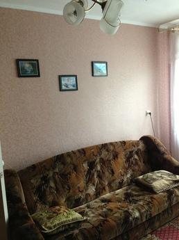 clean comfortable renovated apartment in the center Shostki.