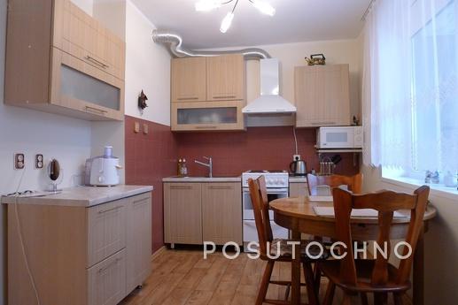 Cozy one bedroom apartment in the center, Moscow - apartment by the day