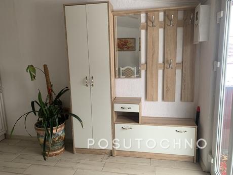 Apartment in the center of Kolomiya, Kolomyia - apartment by the day