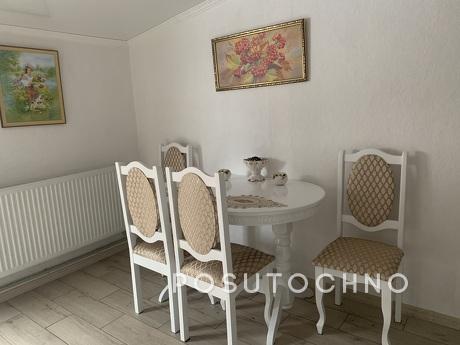 Apartment in the center of Kolomiya, Kolomyia - apartment by the day