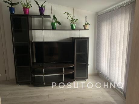 Apartment in the center of Kolomiya, Kolomyia - apartment by the day