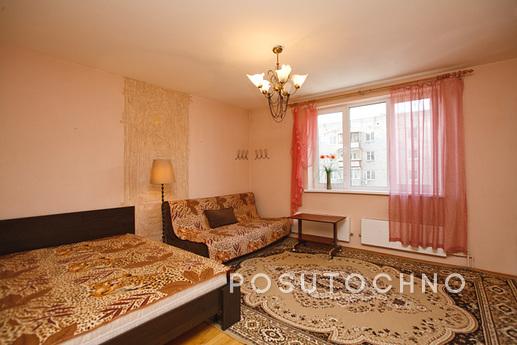 One bedroom cozy apartment with a fresh euro-renovation, a b