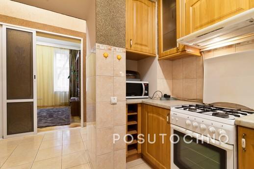 Lovely Apartment in the City Center, Lviv - apartment by the day
