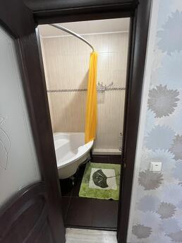 Quiet apartment near the city center, Odessa - apartment by the day