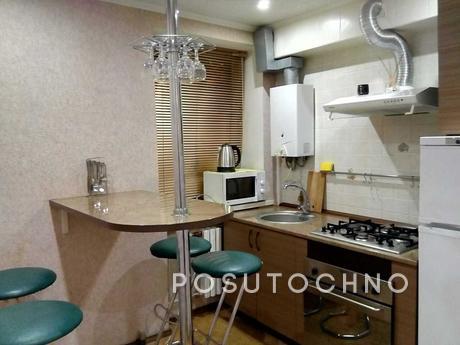 2 bedroom apartment in the center, Dnipro (Dnipropetrovsk) - apartment by the day