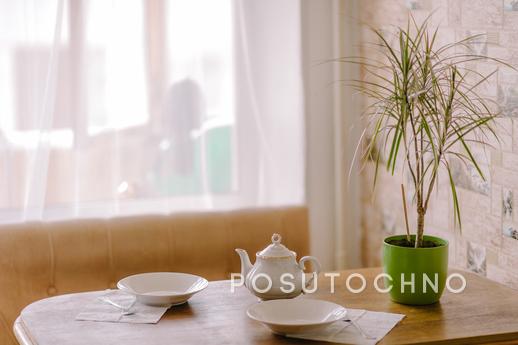 Apartment overlooking the Ostankino Towe, Moscow - apartment by the day