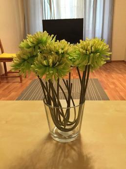 Apartment for Rent m.Vystavochnaya, Moscow - apartment by the day
