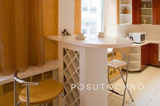 Apartments near the Hermitage, Saint Petersburg - apartment by the day