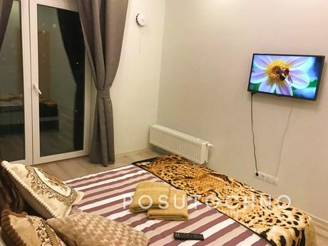 Rent for a day cozy apartment, Mytishchi - apartment by the day