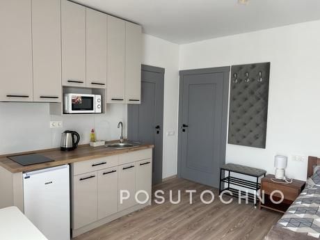 Apartments in Beregovo, Berehovo - apartment by the day