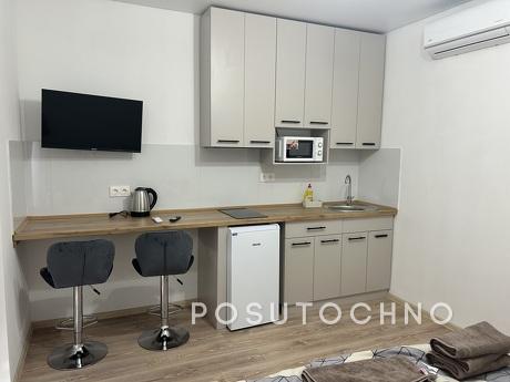 Apartments in Beregovo, Berehovo - apartment by the day